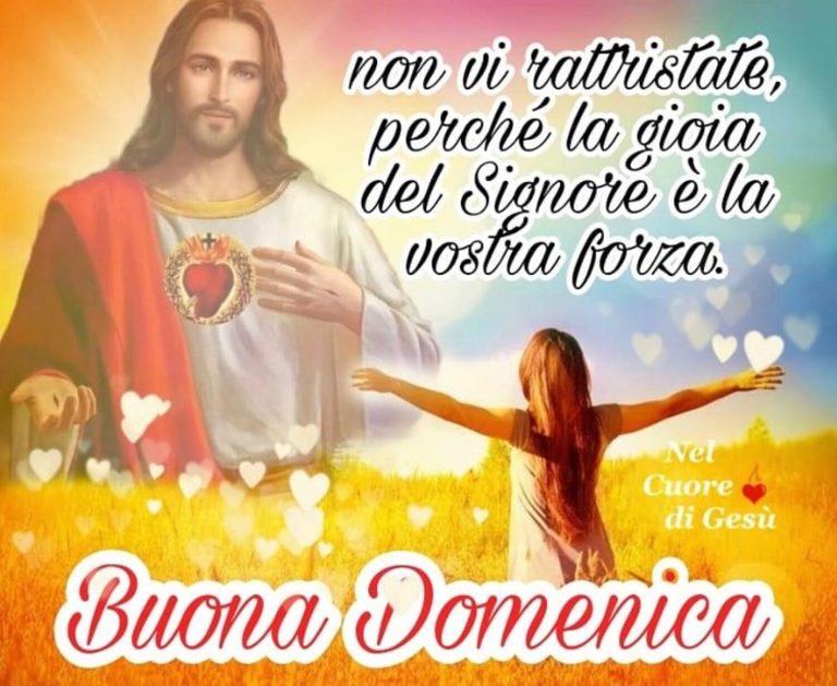 Buona Domenica Del Signore Immagini La Buona Domenica del Signore - DioViBenedica.it