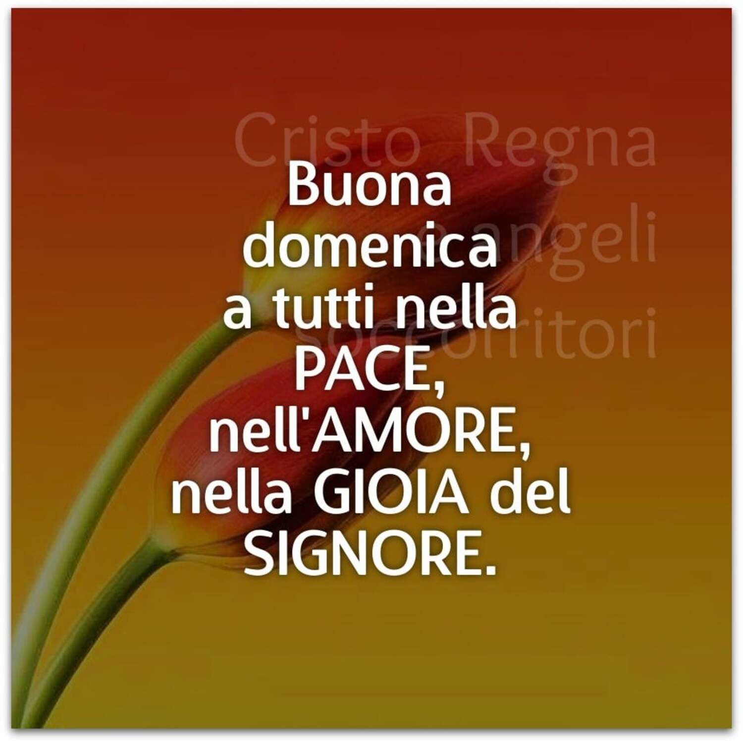 Immagini Buona Domenica Nel Signore La Buona Domenica del Signore - DioViBenedica.it