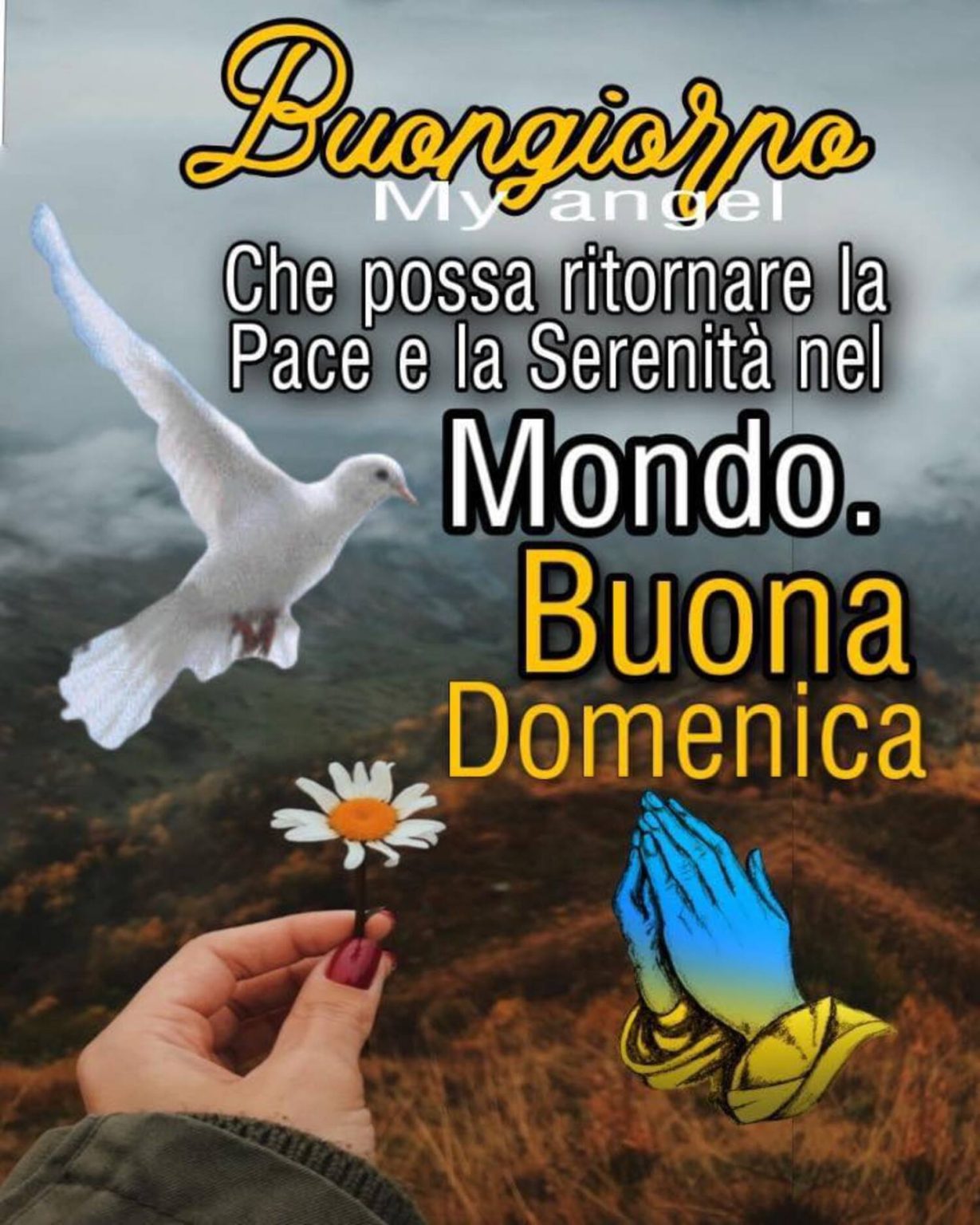 Buona Domenica Del Signore Immagini La Buona Domenica del Signore - DioViBenedica.it