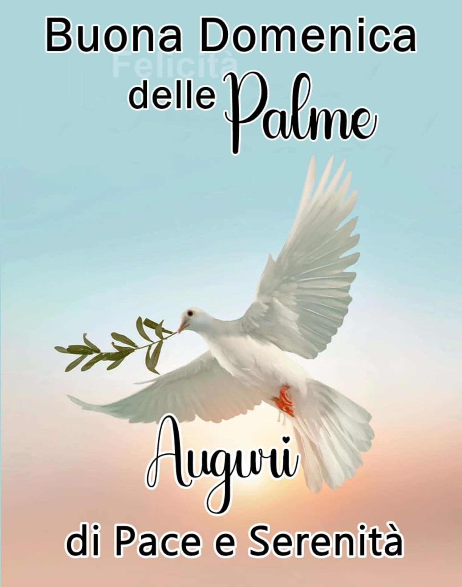 19+ Buona Domenica delle Palme auguri - DioViBenedica.it