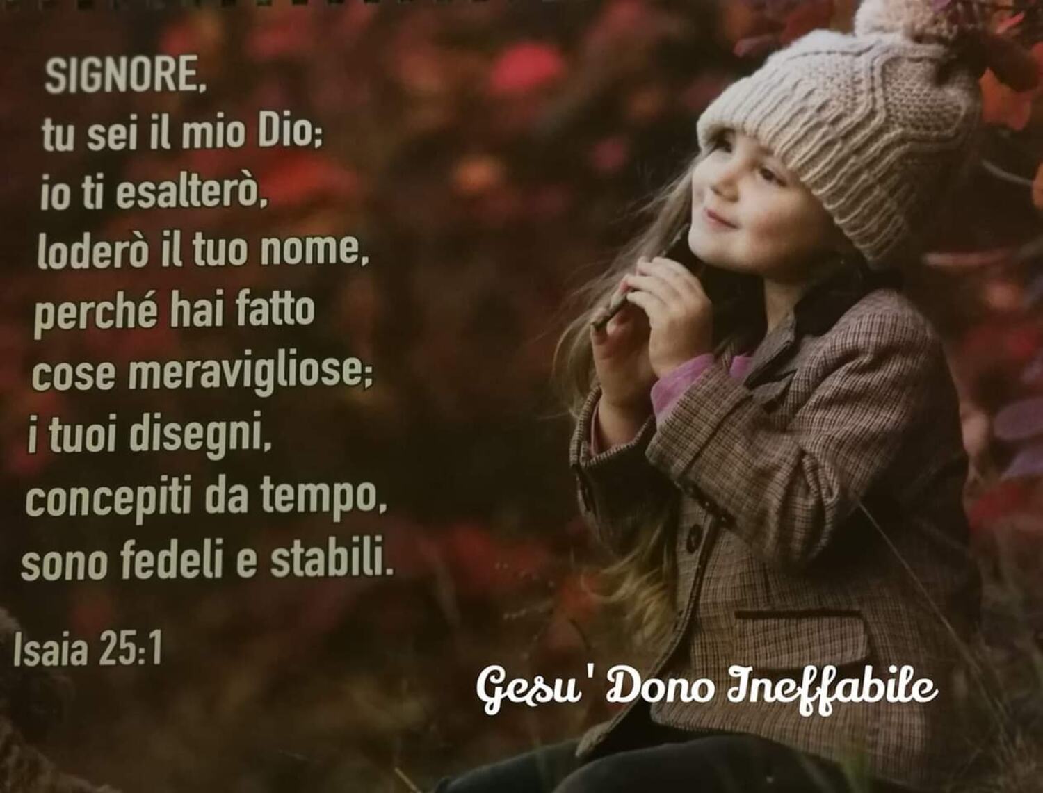 Passi Della Bibbia Nei Momenti Di Grande Difficoltà I migliori passi della Bibbia - DioViBenedica.it