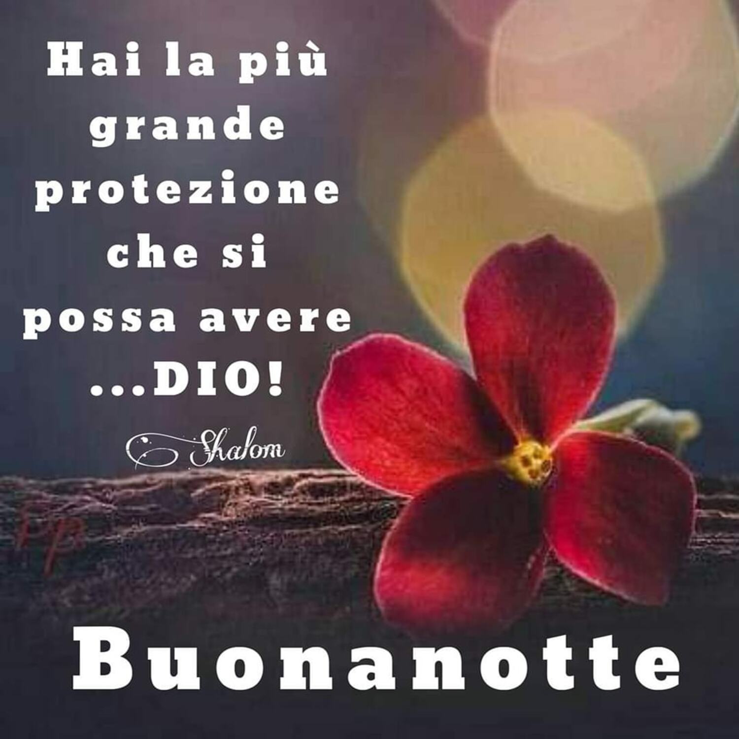buonanotte con la protezione di Dio